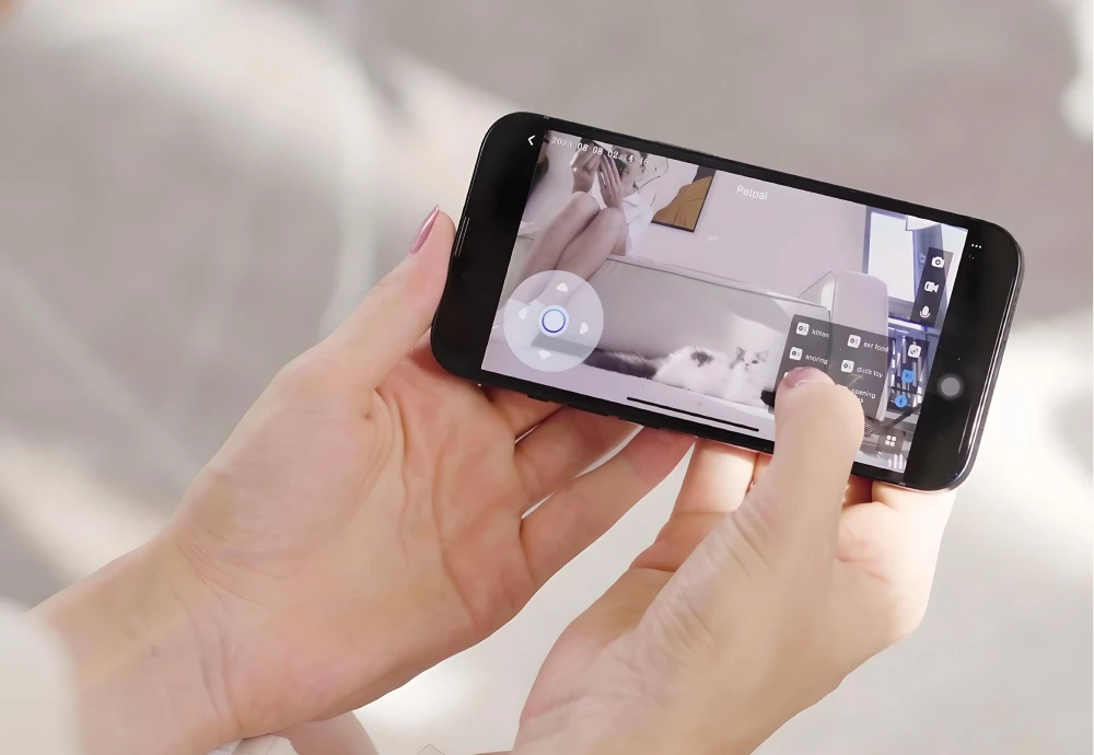 the best pet camera