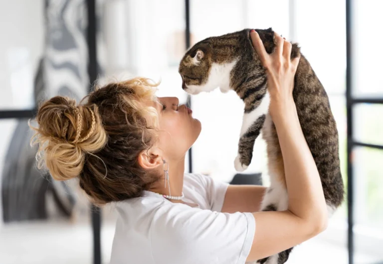 best indoor cameras for pets