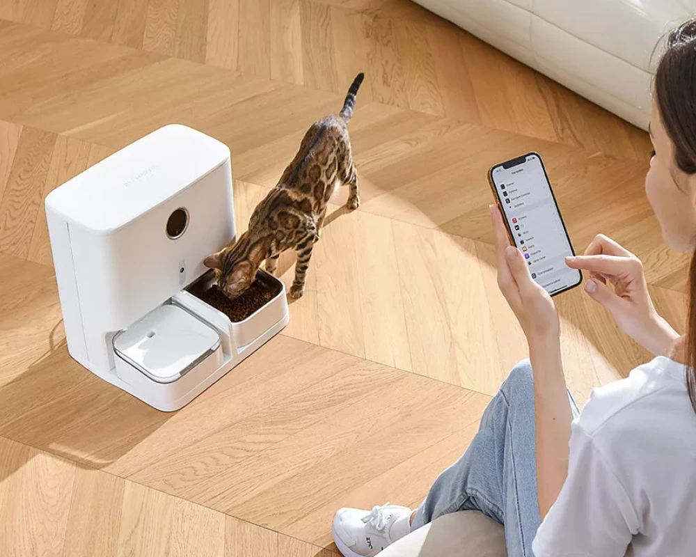 cat feeder with camera